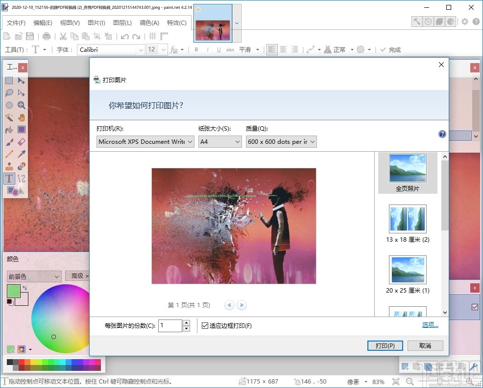 paintdotnet(图片编辑软件) v4.2.15 官方版
