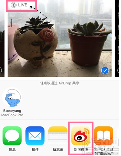 苹果版新浪微博怎么发Live Photos 微博live photos怎么用 苹果版新浪微博怎么发Live Photos 微博live photos怎么用1