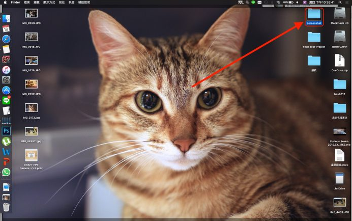 macͼ·ô޸