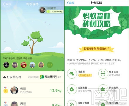 支付宝蚂蚁森林怎么领取树苗?