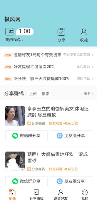 极风网app