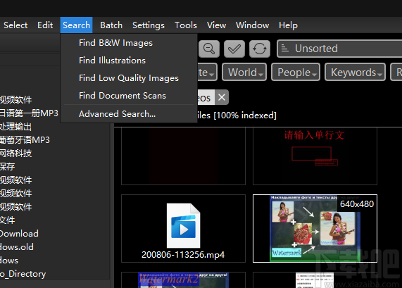 ImageRanger Pro Edition v1.9.0.1848 破解版 图片管理工具-mac大神