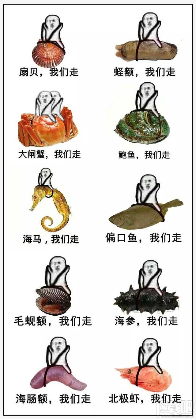 嗷嗷直叫的值是什么意思 嗷嗷直叫的意思