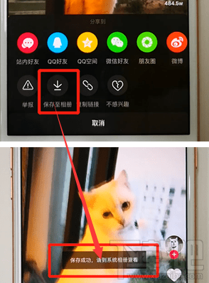 抖音短视频怎么保存到手机相册中
