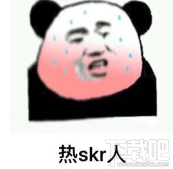 Skr是什么意思 下载吧