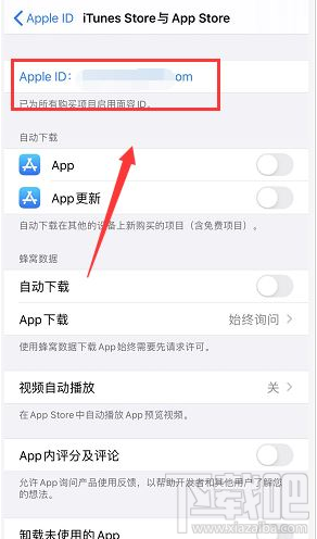苹果手机种子怎么下载(iphone种子怎么下载)